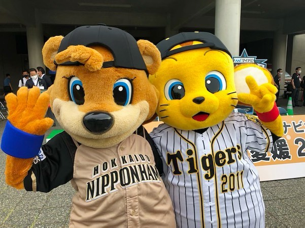 Hanshin Tigers 今日は松山でフレッシュオールスターゲーム21が開催されます キー太もタイガースを代表して応援にやってきました キー太 カビー スラィリー ドアラ Npb Hub