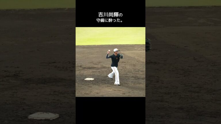 守備上手すぎません？ #巨人 #吉川尚輝 #baseballshorts #プロ野球 #ジャイアンツ球場 #shorts #sports #short #baseball