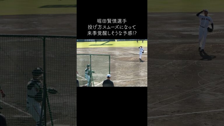 【巨人】堀田賢慎選手は来季覚醒しそうな予感！？　#shorts #baseball #sports #ジャイアンツ #巨人 #baseballshorts #プロ野球 #ジャイアンツ球場