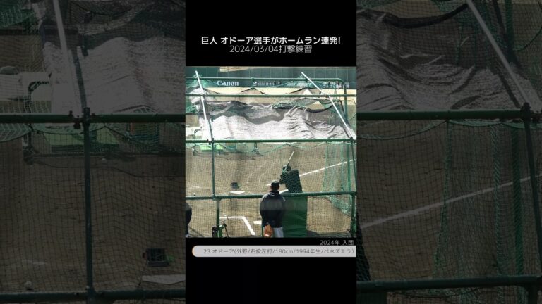 【巨人】オドーア選手がホームラン連発 #オドーア #shorts #baseball #プロ野球 #巨人