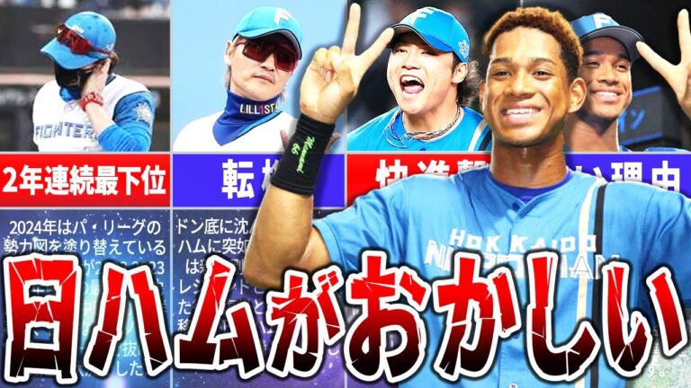 日本ハムの快進撃はなぜ続いているのか？その理由を徹底解説！