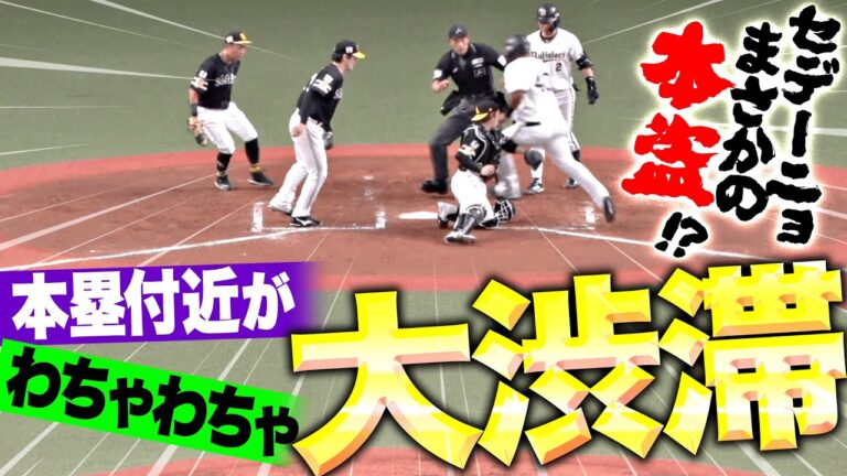 【本塁付近が“大渋滞”】セデーニョ『まさかホームスチール…!? 決死の本塁突入で奇跡の生還を果たす！』